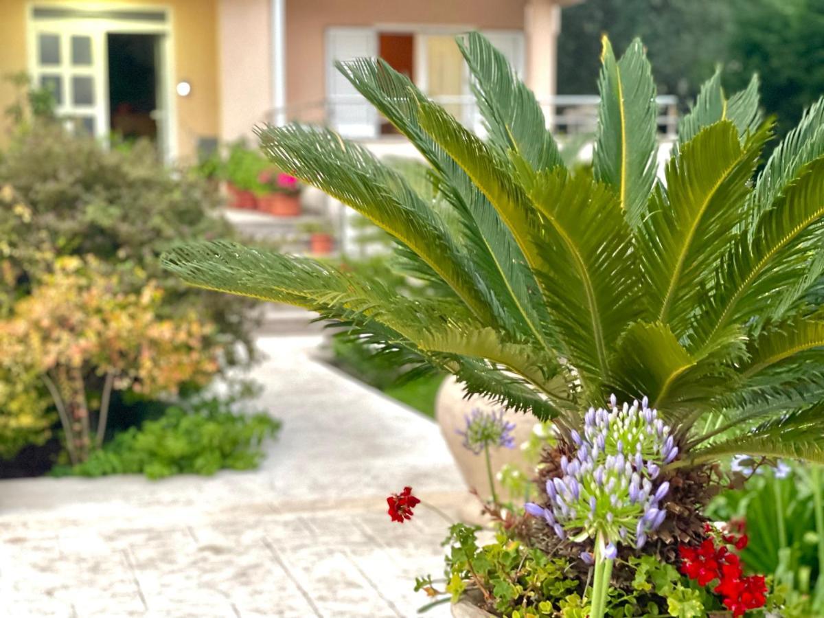 Apartments Boreta Becici Budva Exterior photo